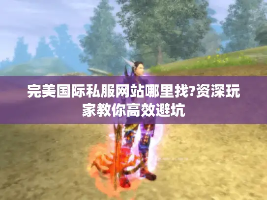 完美国际私服网站哪里找?资深玩家教你高效避坑