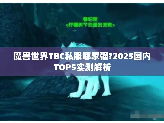 魔兽世界TBC私服哪家强?2025国内TOP5实测解析