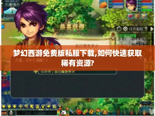梦幻西游免费版私服下载,如何快速获取稀有资源?