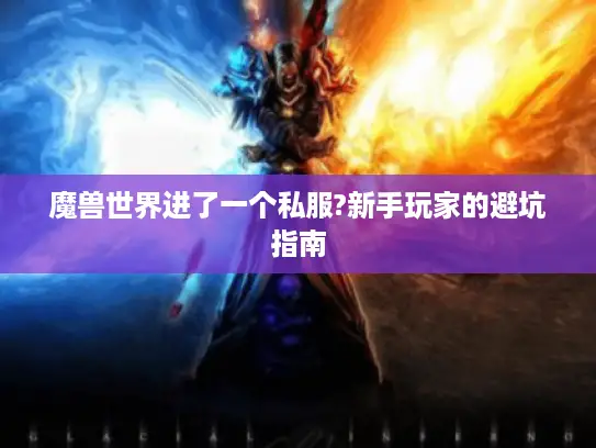 魔兽世界进了一个私服?新手玩家的避坑指南