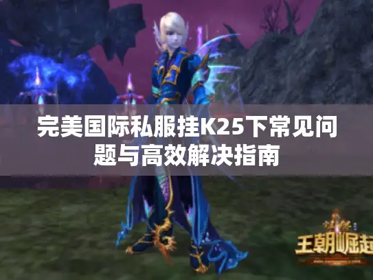 完美国际私服挂K25下常见问题与高效解决指南