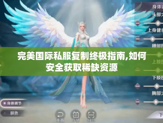 完美国际私服复制终极指南,如何安全获取稀缺资源