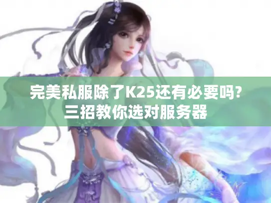 完美私服除了K25还有必要吗?三招教你选对服务器