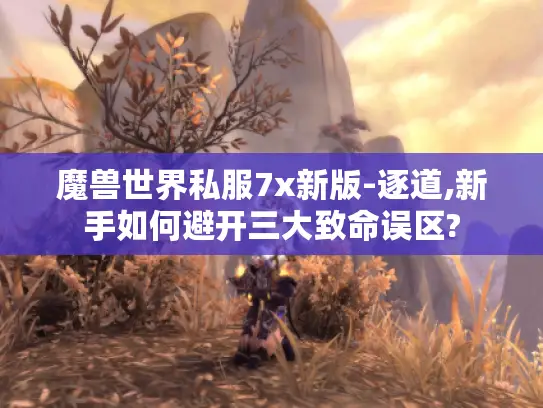 魔兽世界私服7x新版-逐道,新手如何避开三大致命误区?