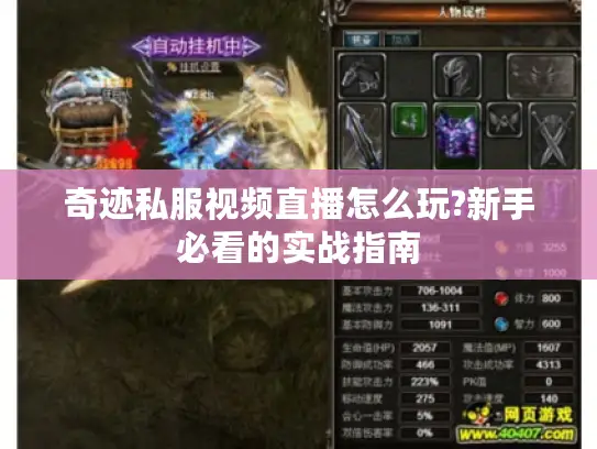 奇迹私服视频直播怎么玩?新手必看的实战指南 奇迹私服视频直播怎么玩?新手必看的实战指南
