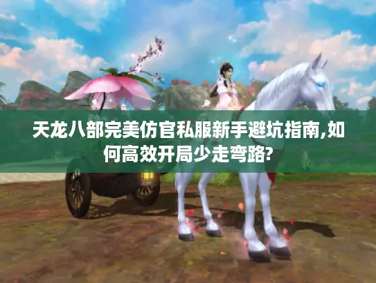 天龙八部完美仿官私服新手避坑指南,如何高效开局少走弯路? 天龙八部完美仿官私服新手避坑指南,如何高效开局少走弯路?