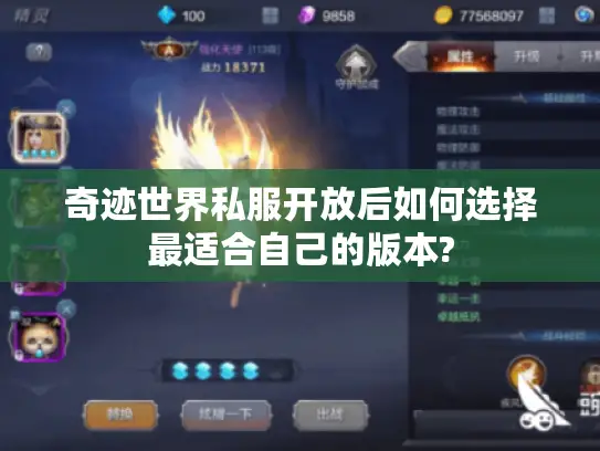 奇迹世界私服开放后如何选择最适合自己的版本?