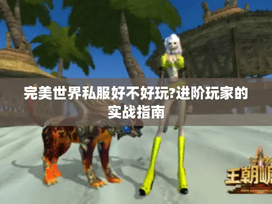 完美世界私服好不好玩?进阶玩家的实战指南