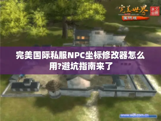 完美国际私服NPC坐标修改器怎么用?避坑指南来了