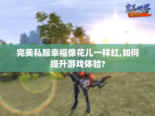 完美私服幸福像花儿一样红,如何提升游戏体验?