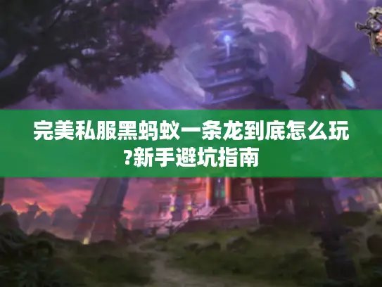 完美私服黑蚂蚁一条龙到底怎么玩?新手避坑指南