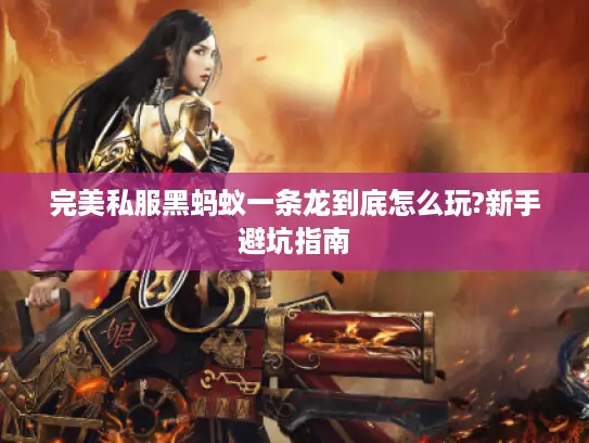 完美私服黑蚂蚁一条龙到底怎么玩?新手避坑指南