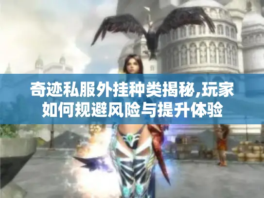 奇迹私服外挂种类揭秘,玩家如何规避风险与提升体验 奇迹私服外挂种类揭秘,玩家如何规避风险与提升体验