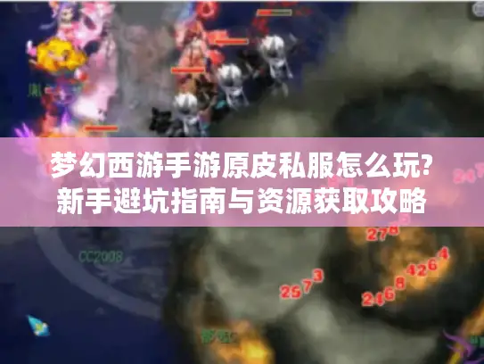 梦幻西游手游原皮私服怎么玩?新手避坑指南与资源获取攻略