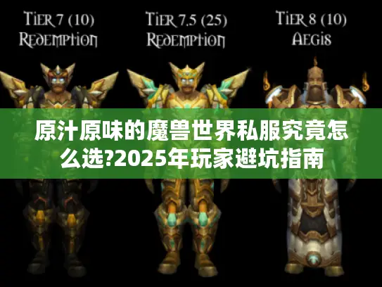 原汁原味的魔兽世界私服究竟怎么选?2025年玩家避坑指南