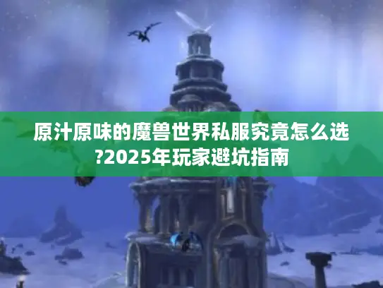 原汁原味的魔兽世界私服究竟怎么选?2025年玩家避坑指南