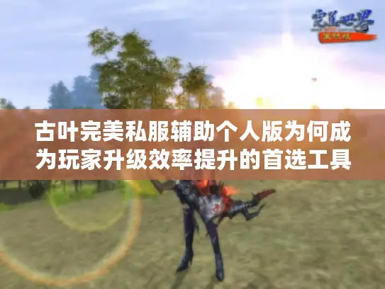 古叶完美私服辅助个人版为何成为玩家升级效率提升的首选工具