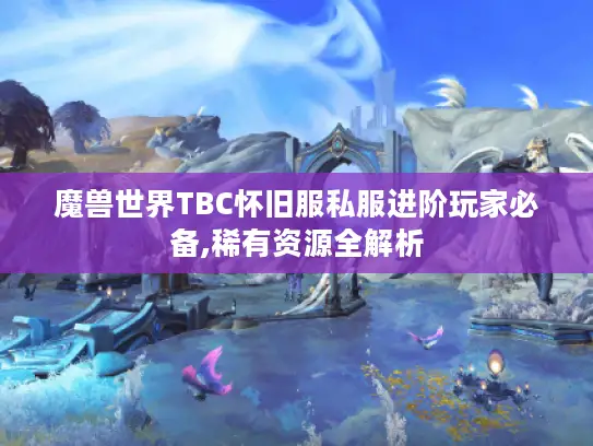 魔兽世界TBC怀旧服私服进阶玩家必备,稀有资源全解析