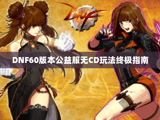 DNF60版本公益服无CD玩法终极指南 DNF60版本公益服无CD玩法终极指南