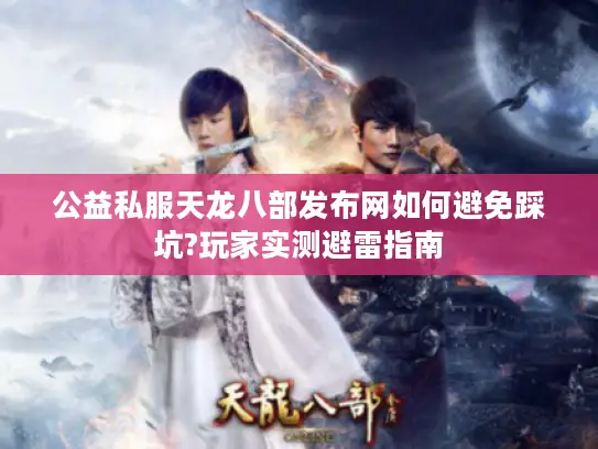 公益私服天龙八部发布网如何避免踩坑?玩家实测避雷指南
