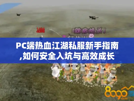 PC端热血江湖私服新手指南,如何安全入坑与高效成长