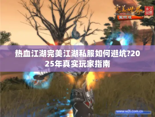 热血江湖完美江湖私服如何避坑?2025年真实玩家指南 热血江湖完美江湖私服如何避坑?2025年真实玩家指南