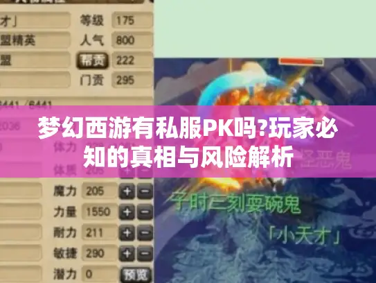 梦幻西游有私服PK吗?玩家必知的真相与风险解析 梦幻西游有私服PK吗?玩家必知的真相与风险解析