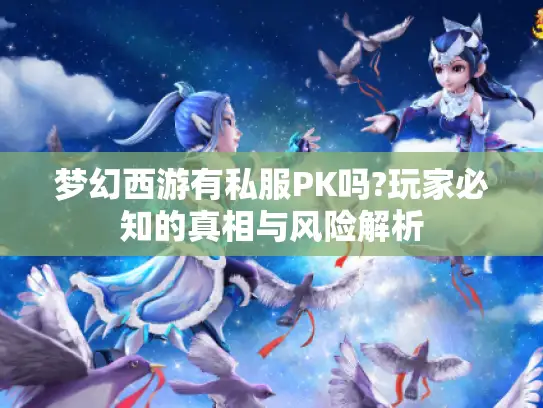 梦幻西游有私服PK吗?玩家必知的真相与风险解析 梦幻西游有私服PK吗?玩家必知的真相与风险解析