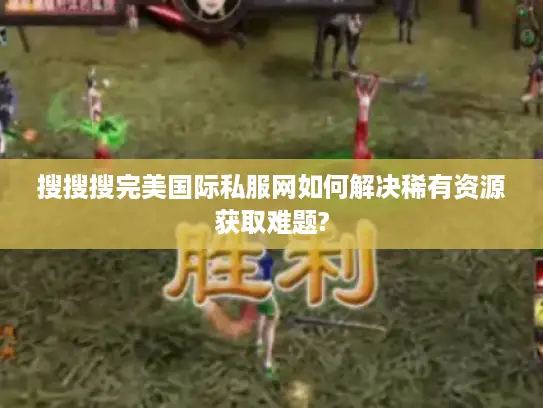 搜搜搜完美国际私服网如何解决稀有资源获取难题?