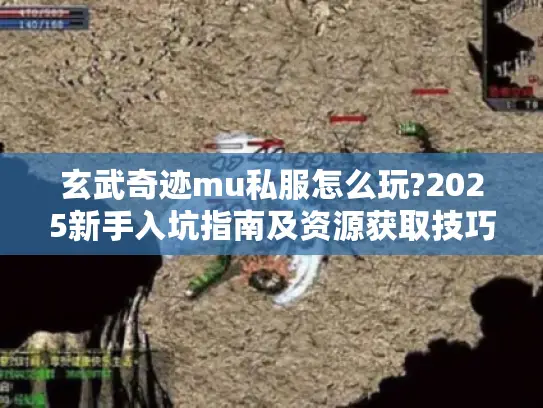 玄武奇迹mu私服怎么玩?2025新手入坑指南及资源获取技巧