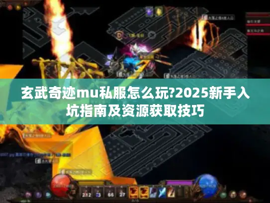 玄武奇迹mu私服怎么玩?2025新手入坑指南及资源获取技巧
