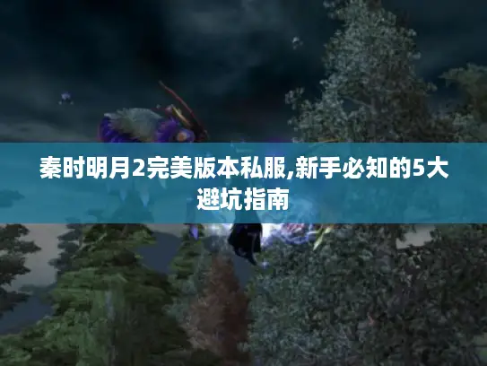 秦时明月2完美版本私服,新手必知的5大避坑指南