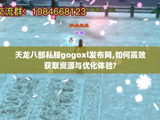 天龙八部私服gogoxl发布网,如何高效获取资源与优化体验?