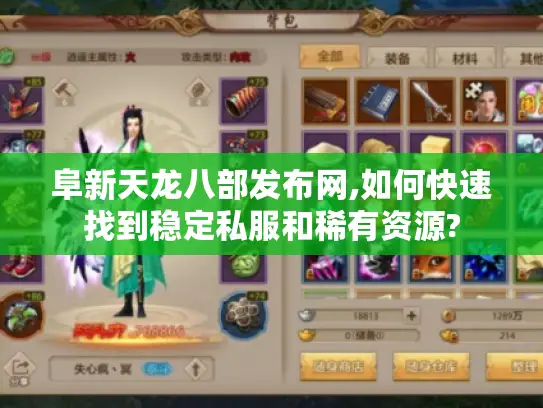 阜新天龙八部发布网,如何快速找到稳定私服和稀有资源?