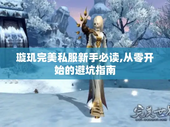 璇玑完美私服新手必读,从零开始的避坑指南