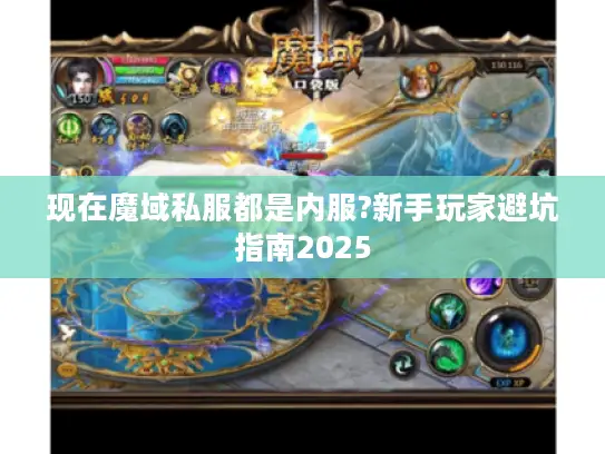 现在魔域私服都是内服?新手玩家避坑指南2025
