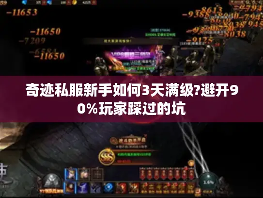 奇迹私服新手如何3天满级?避开90%玩家踩过的坑 奇迹私服新手如何3天满级?避开90%玩家踩过的坑