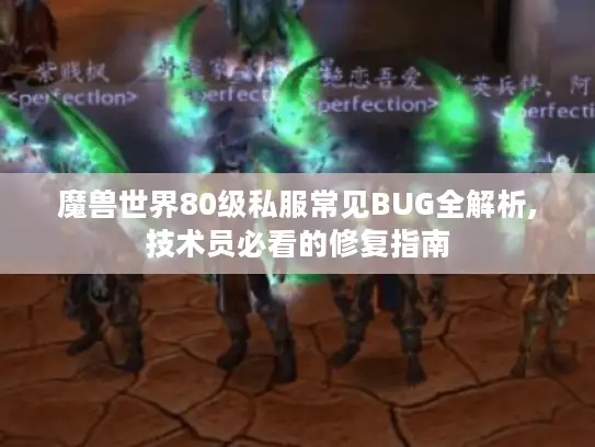 魔兽世界80级私服常见BUG全解析,技术员必看的修复指南 魔兽世界80级私服常见BUG全解析,技术员必看的修复指南