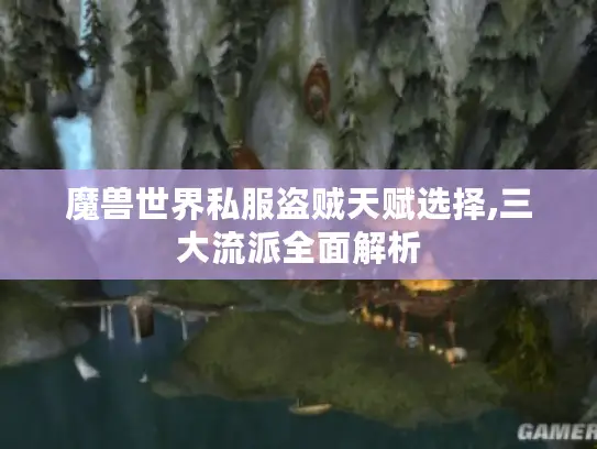 魔兽世界私服盗贼天赋选择,三大流派全面解析 魔兽世界私服盗贼天赋选择,三大流派全面解析