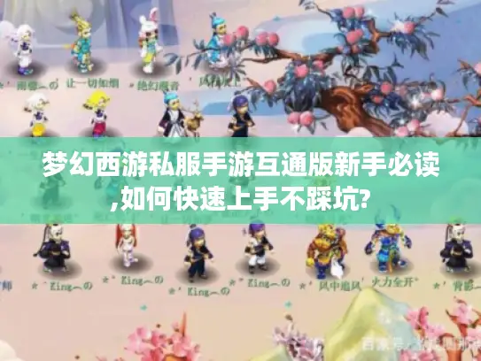 梦幻西游私服手游互通版新手必读,如何快速上手不踩坑? 梦幻西游私服手游互通版新手必读,如何快速上手不踩坑?
