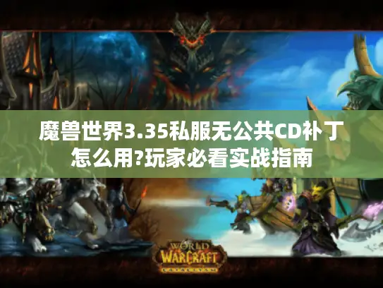 魔兽世界3.35私服无公共CD补丁怎么用?玩家必看实战指南 魔兽世界3.35私服无公共CD补丁怎么用?玩家必看实战指南