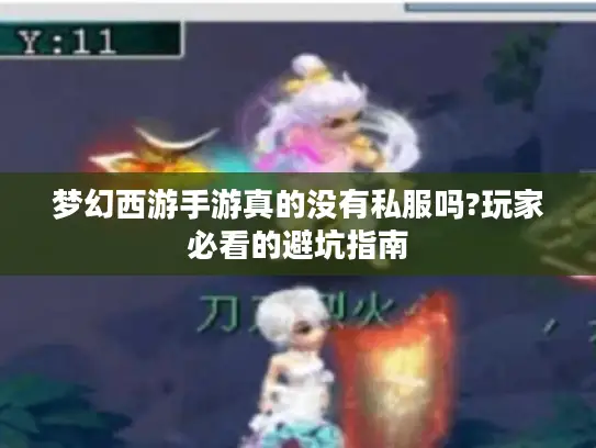 梦幻西游手游真的没有私服吗?玩家必看的避坑指南