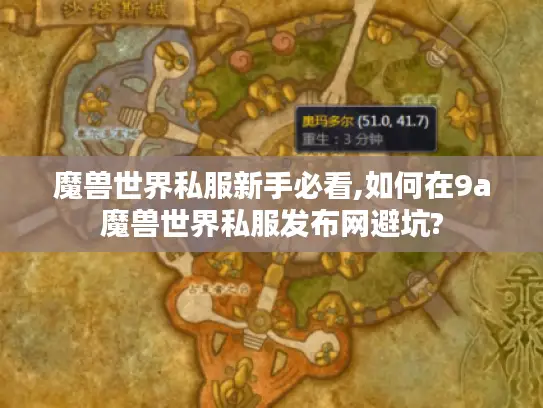 魔兽世界私服新手必看,如何在9a魔兽世界私服发布网避坑?