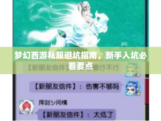 梦幻西游私服避坑指南，新手入坑必看要点