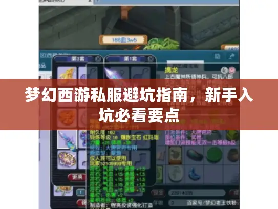 梦幻西游私服避坑指南，新手入坑必看要点