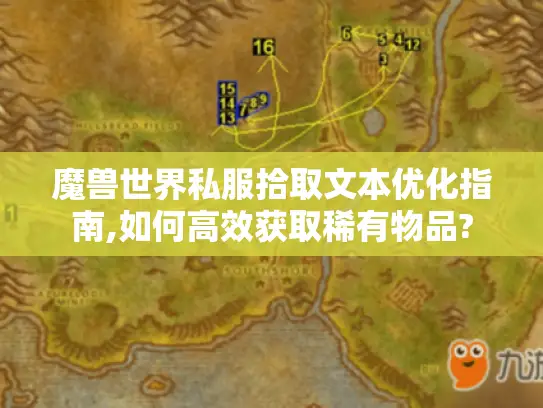 魔兽世界私服拾取文本优化指南,如何高效获取稀有物品? 魔兽世界私服拾取文本优化指南,如何高效获取稀有物品?
