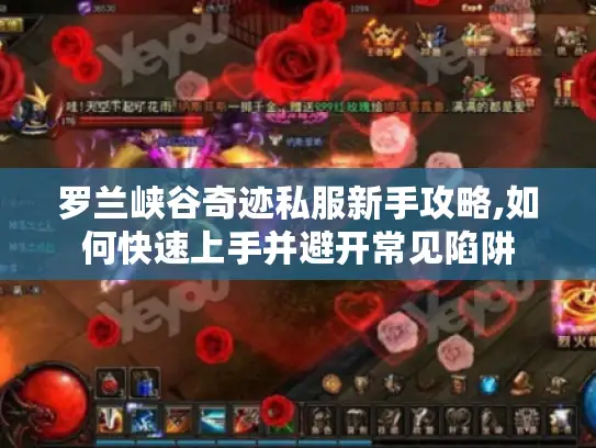 罗兰峡谷奇迹私服新手攻略,如何快速上手并避开常见陷阱