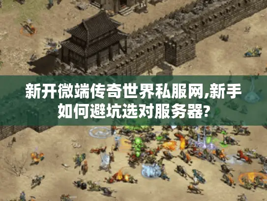 新开微端传奇世界私服网,新手如何避坑选对服务器?