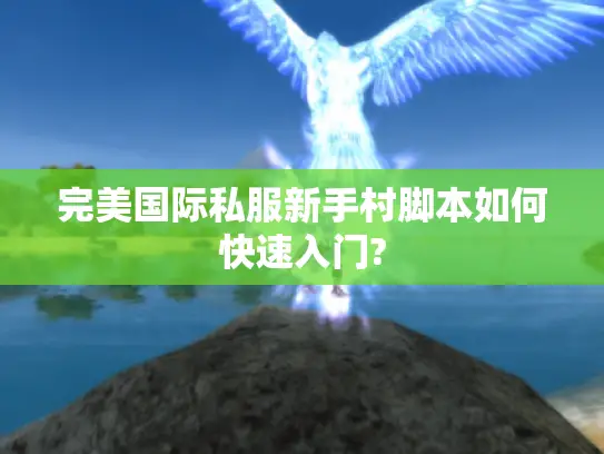 完美国际私服新手村脚本如何快速入门?