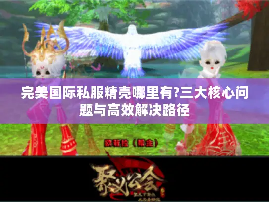完美国际私服精壳哪里有?三大核心问题与高效解决路径